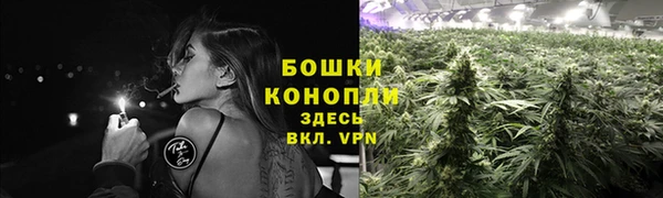 спайс Корсаков