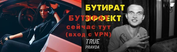 спайс Корсаков