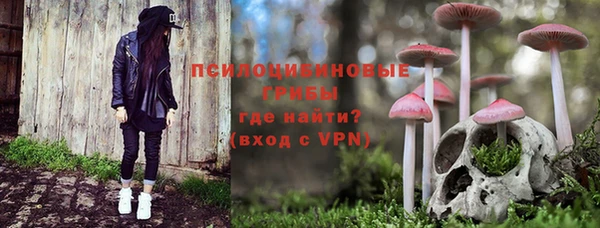спайс Корсаков