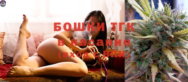 спайс Корсаков